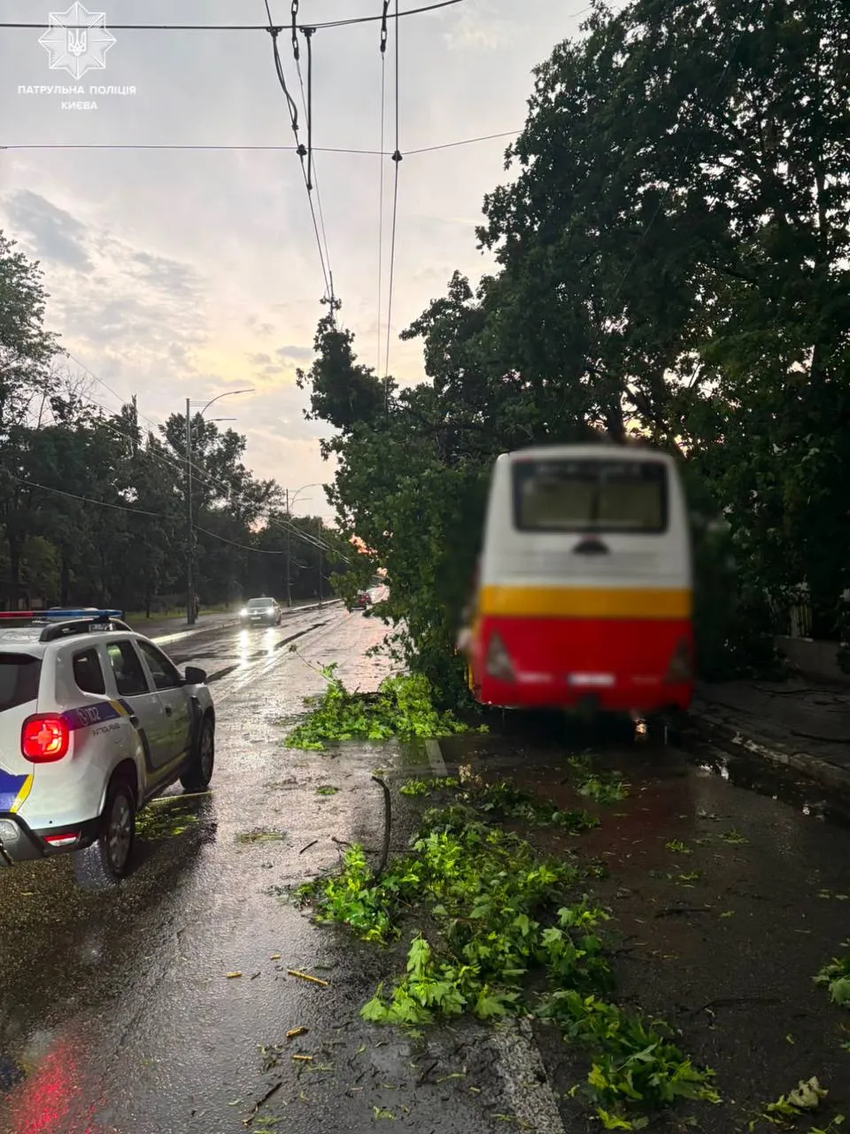 В связи с падением деревьев движение транспорта затруднено, фото: патрульная полиция Киева