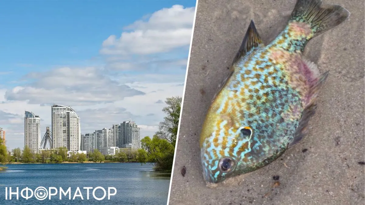 Солнечный окунь озеро