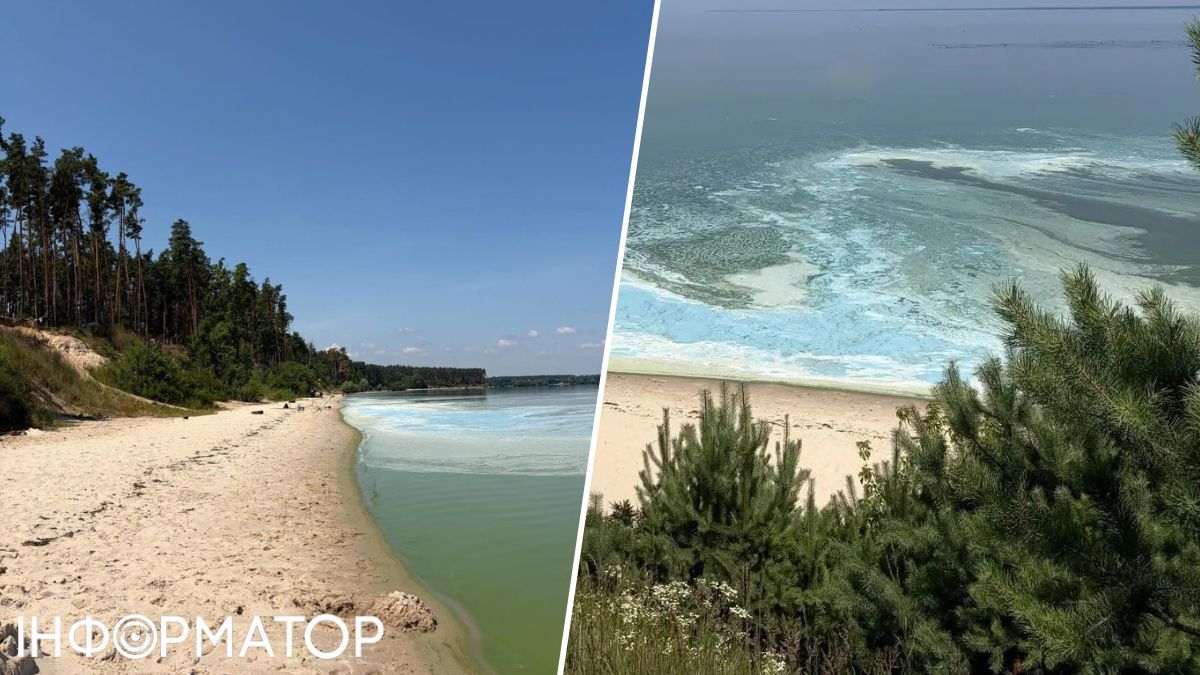 Киевское море цветет