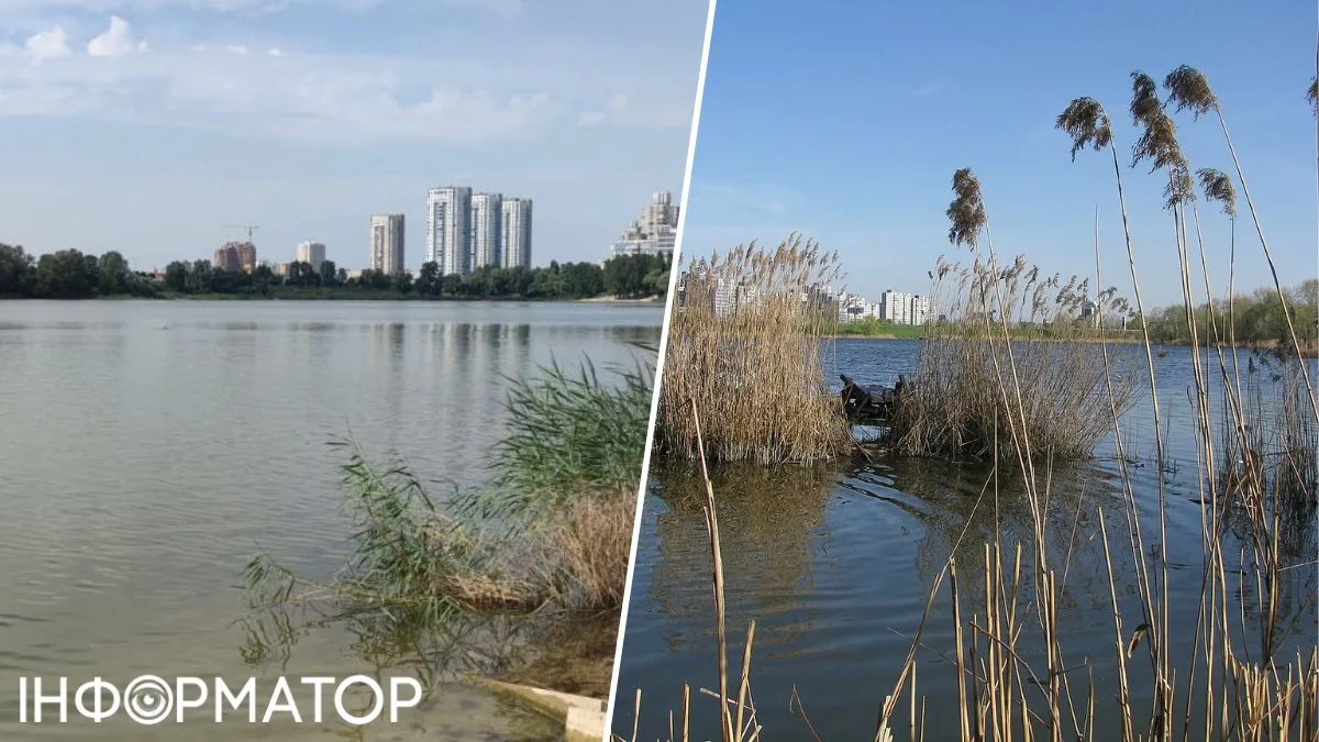 озеро Кирилловское загрязнение
