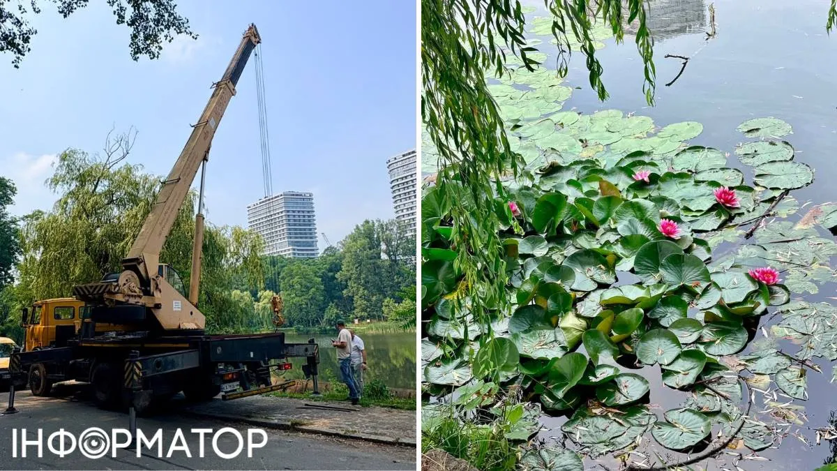 Вже потім усі деталі по черзі прийняли з водойми - лишилося саме латаття