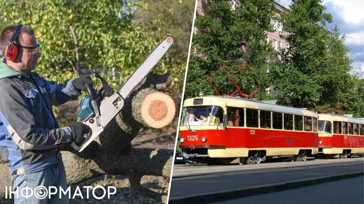 трамвай Дегтярівська Київ дерево