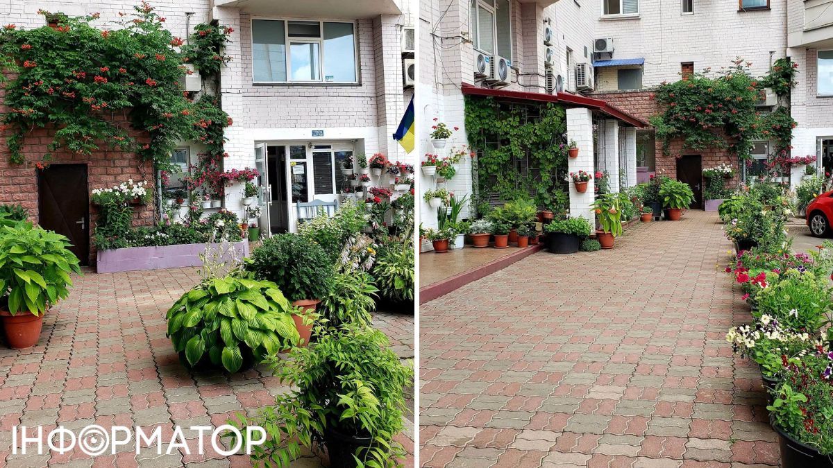 Оаза среди бетона – жители дома на Оболони обустроили себе мини-ботсад