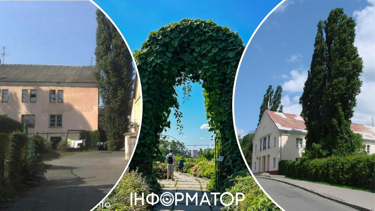 Застройку ботсада им. Гришко в Киеве оспаривают уже на уровне Генпрокуратуры