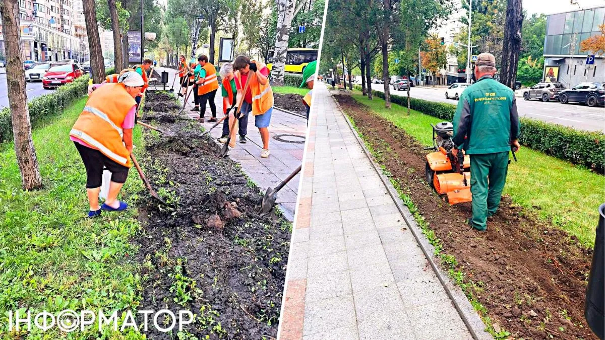 Бульвару Лесі Українки готують нові квіткові шати - обіцяють, буде ще гарніше