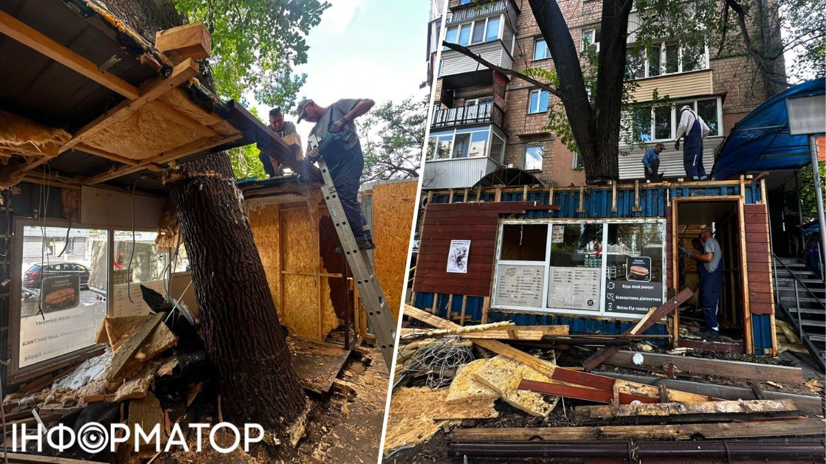 Київські комунальники врятували дерево, навколо якого ділки побудували МАФ
