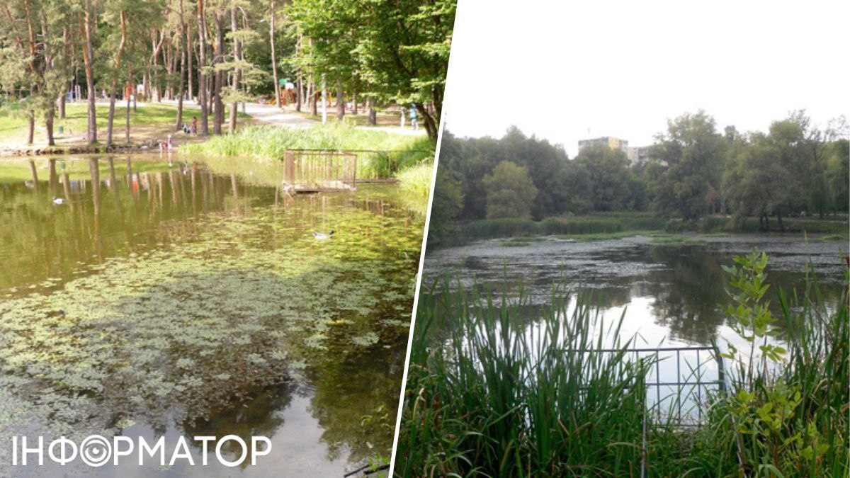 Ореховатские пруды Голосеево