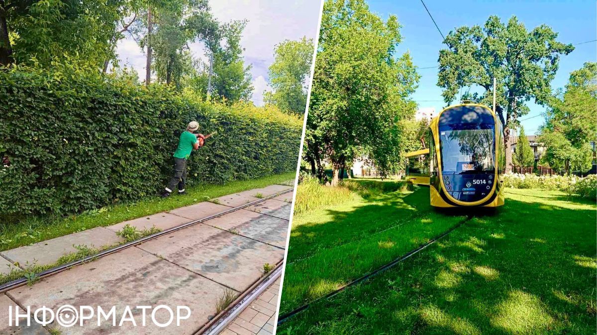 Це варто бачити - Київські комунальники хизуються зеленими трамвайними коліями на ДВРЗ