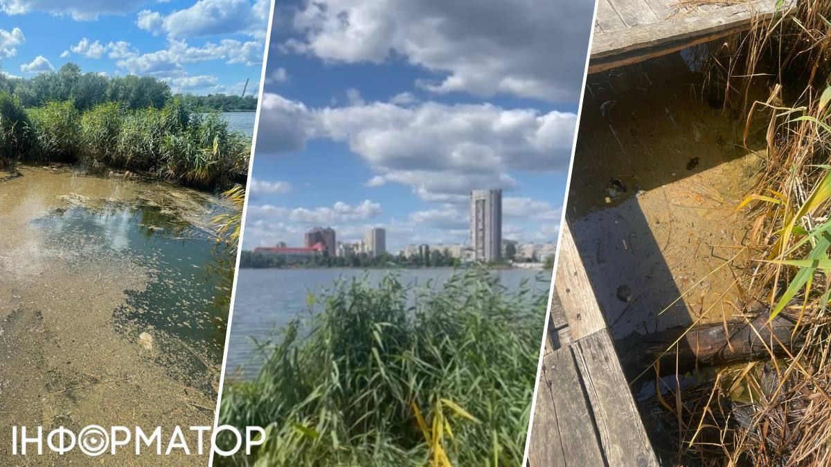 Мазутную пленку на Кирилловском озере унесло в камыши - водоем все еще имеет загрязнение