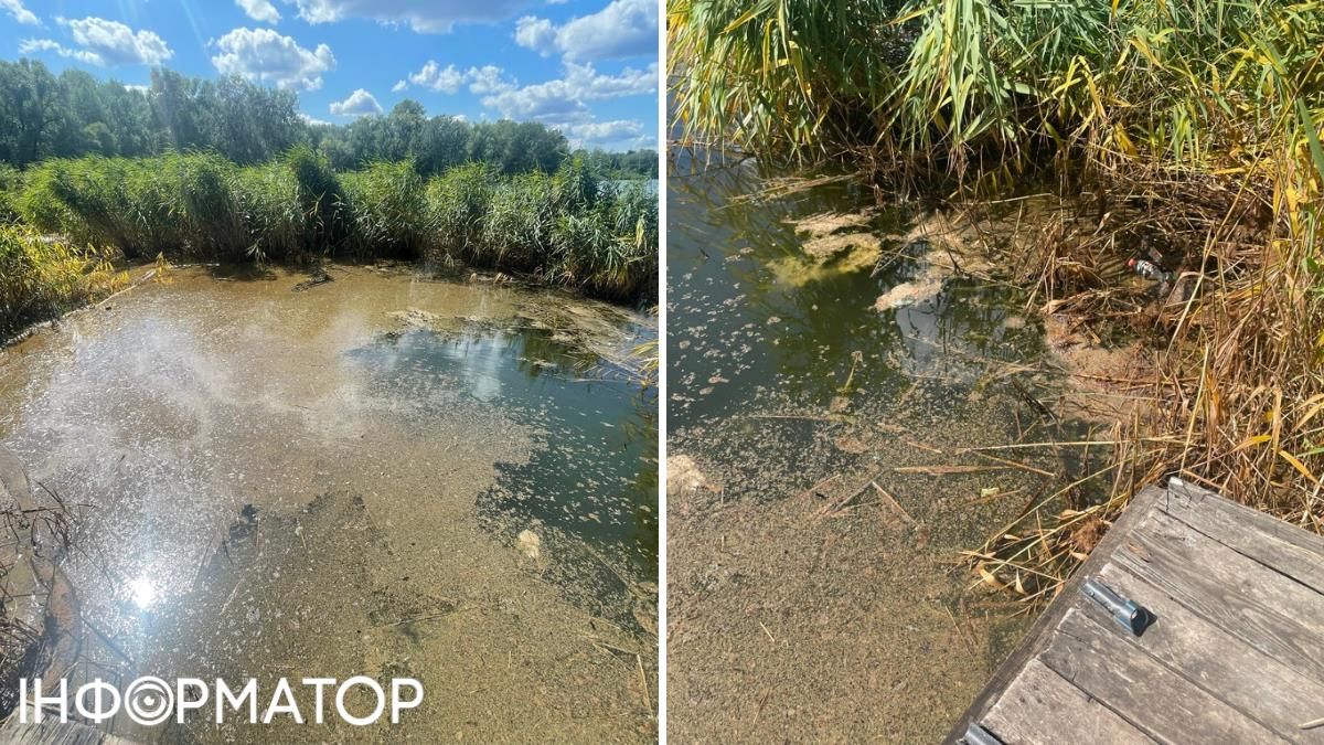 Озеро все еще загрязнено, впрочем, сейчас пленка из нефтепродуктов просто не так заметна из-за камышей. Озеро все еще загрязнено, впрочем, сейчас пленка из нефтепродуктов просто не так заметна из-за камышей.
