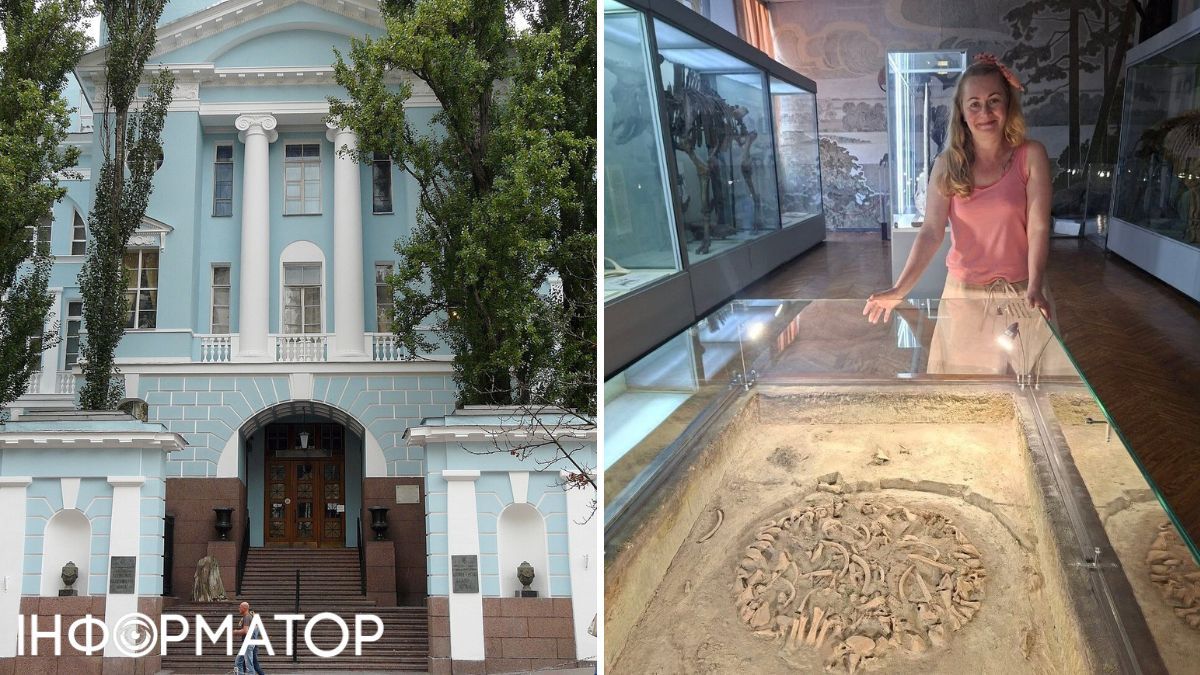 Киевские ученые отреставрировали мамонтенка Диму, которому уже 40 тысяч лет