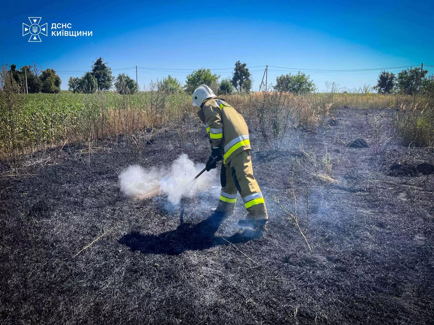 За добу на Київщині ліквідовано 31 пожежу в екосистемах