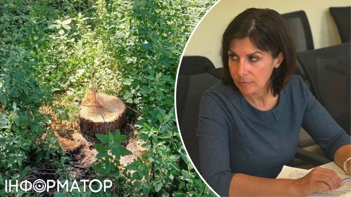 Вирубку дерев під теплотрасу на Теремках можуть зупинити - депутатка Київради направила звернення