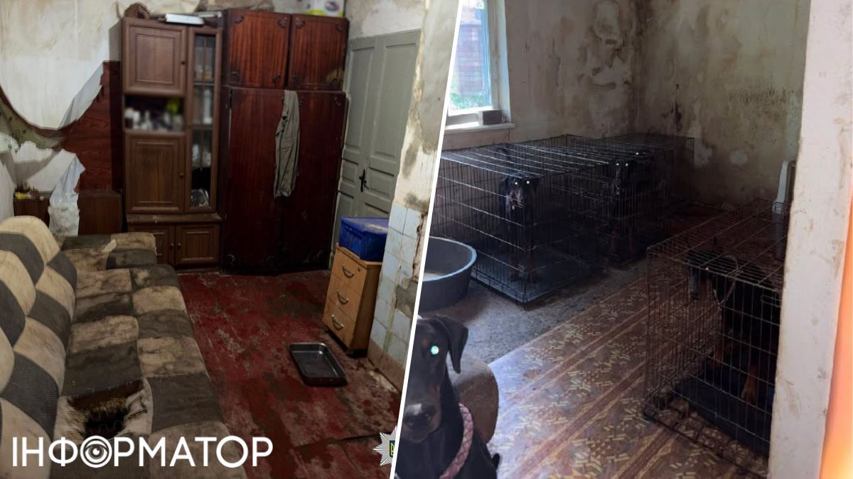 доберман притулок