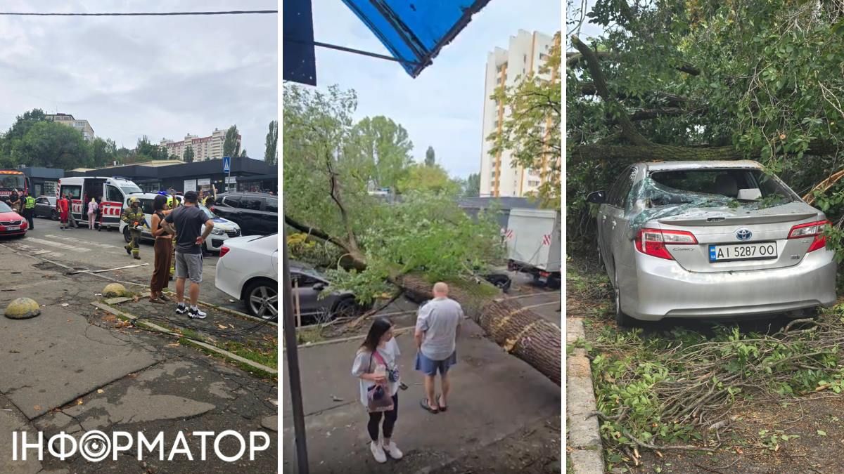 На Радіоринку у Києві 60-річне дерево впало на автівки й травмувало людину - подробиці