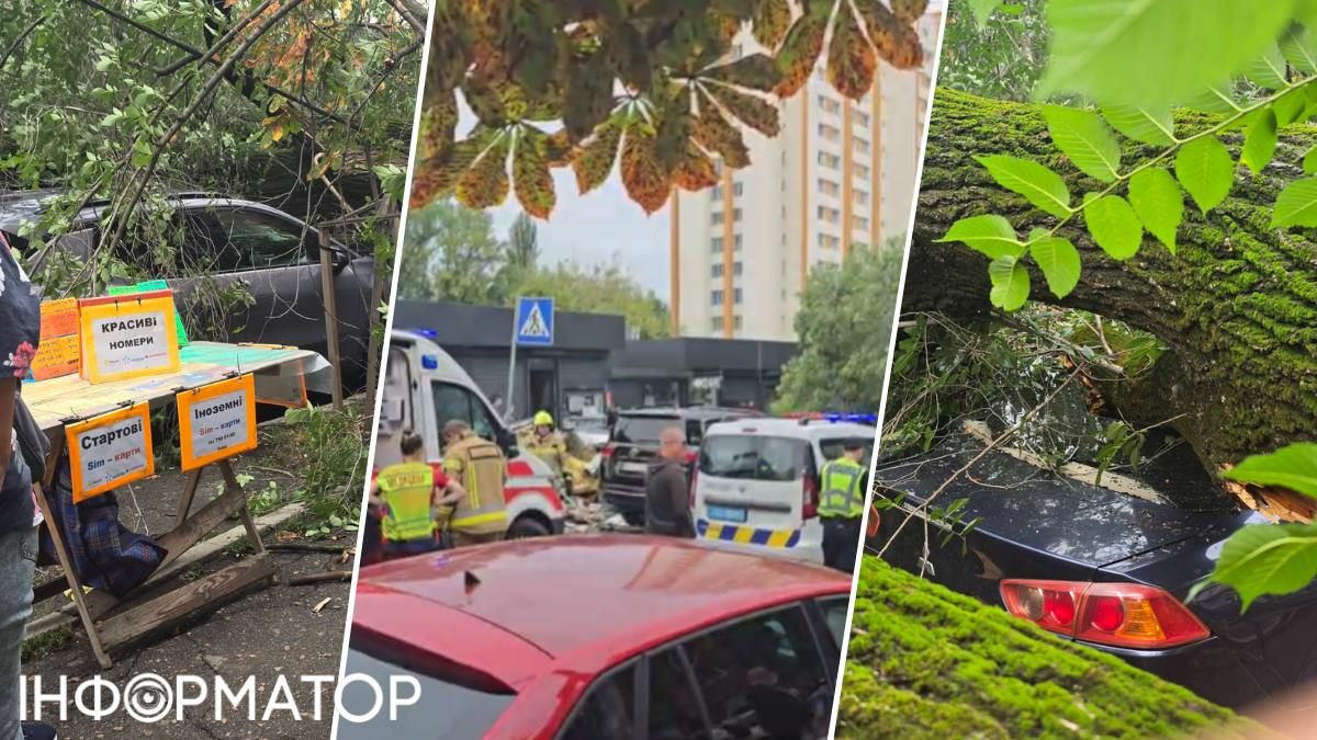 Дерево упало прямо рядом с торговыми лотками Радиорынка, преградив ул. Ушинского Дерево упало прямо рядом с торговыми лотками Радиорынка, преградив ул. Ушинского