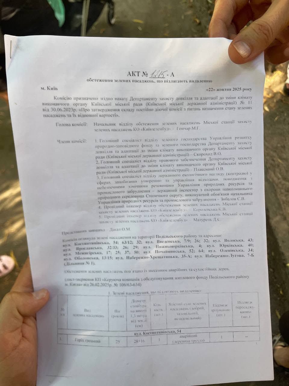 На Подолі також зрізатимуть дерева - під ніж підуть грецькі горіхи й абрикоси 1