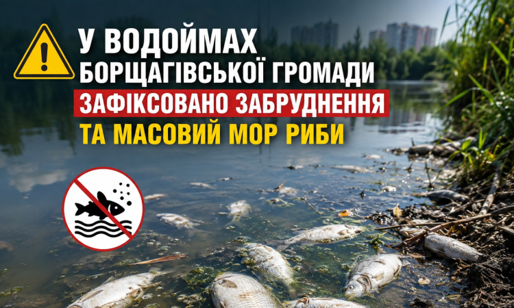 В Борщаговской общине массово гибнет рыба В Борщаговской общине массово гибнет рыба