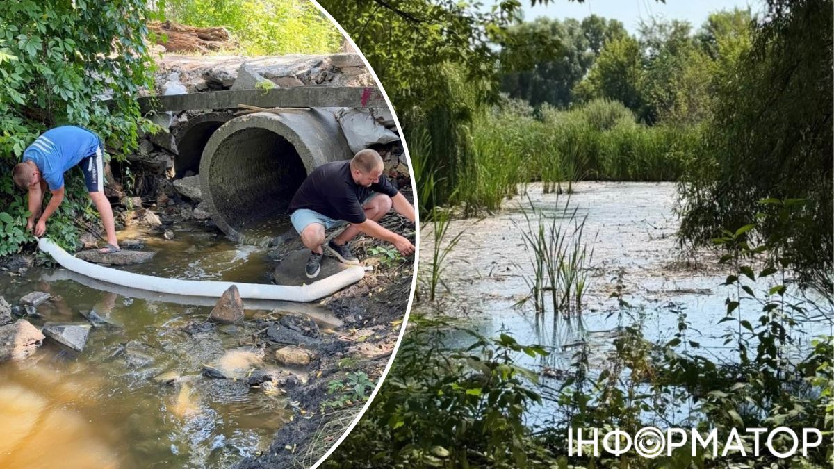 Загибель риби у Софіївській Борщагівці сталася через пожежу на складах від прильоту ракети - КП Плесо