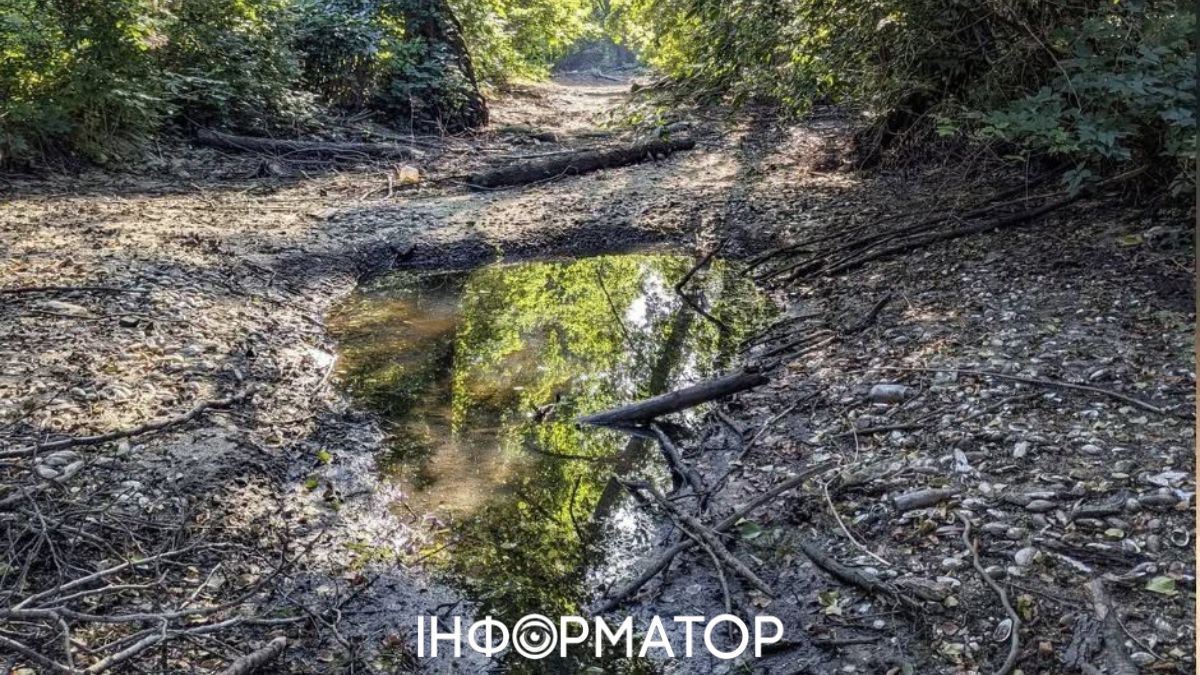 Вместо потока сухое дно - между Ирпенем и Гостомелем высохла река Буча
