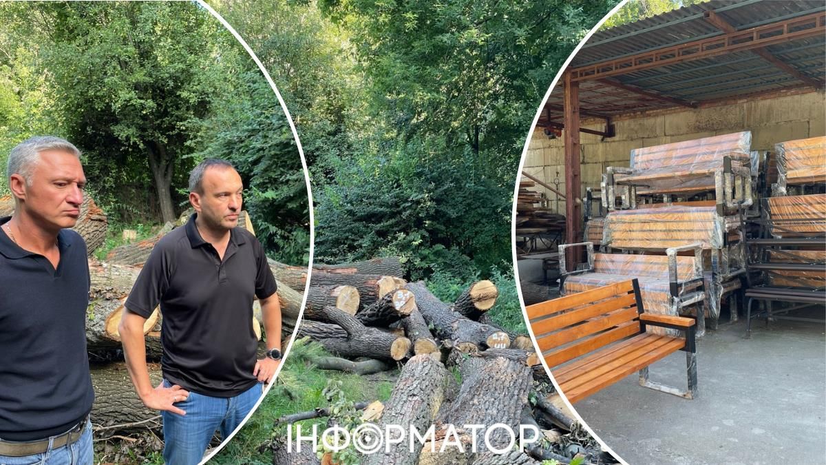 Кожне дерево під рахунок - ми дізналися, де зберігають дуби з Теремків, і яка доля на них чекає далі