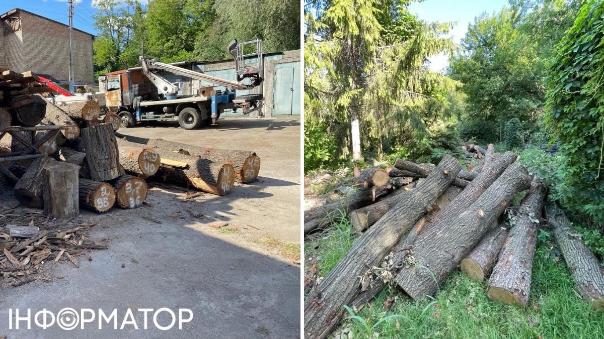 Стовбур кожного дерева розмічений, усі складені в кількох місцях на виробничій базі КП УЗН Голосіївського району Стовбур кожного дерева розмічений, усі складені в кількох місцях на виробничій базі КП УЗН Голосіївського району