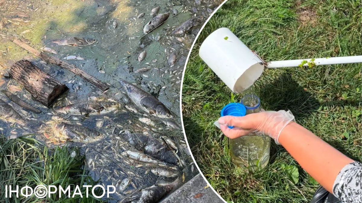 Забруднена водойма Борщагівка