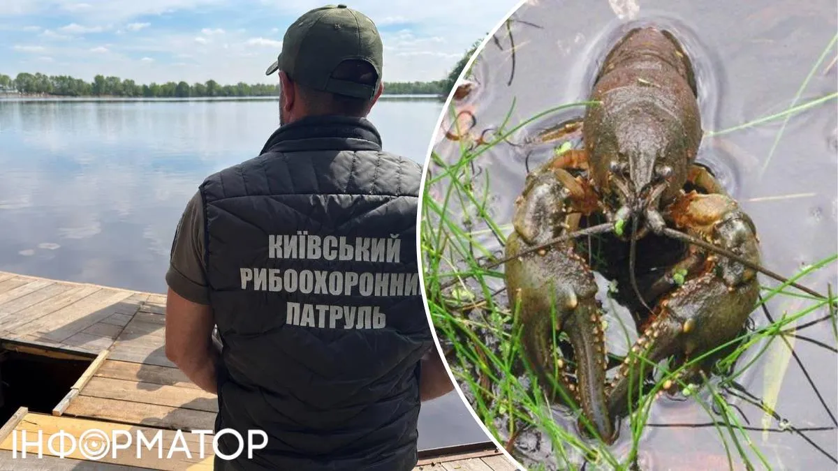 раки заборона вилов
