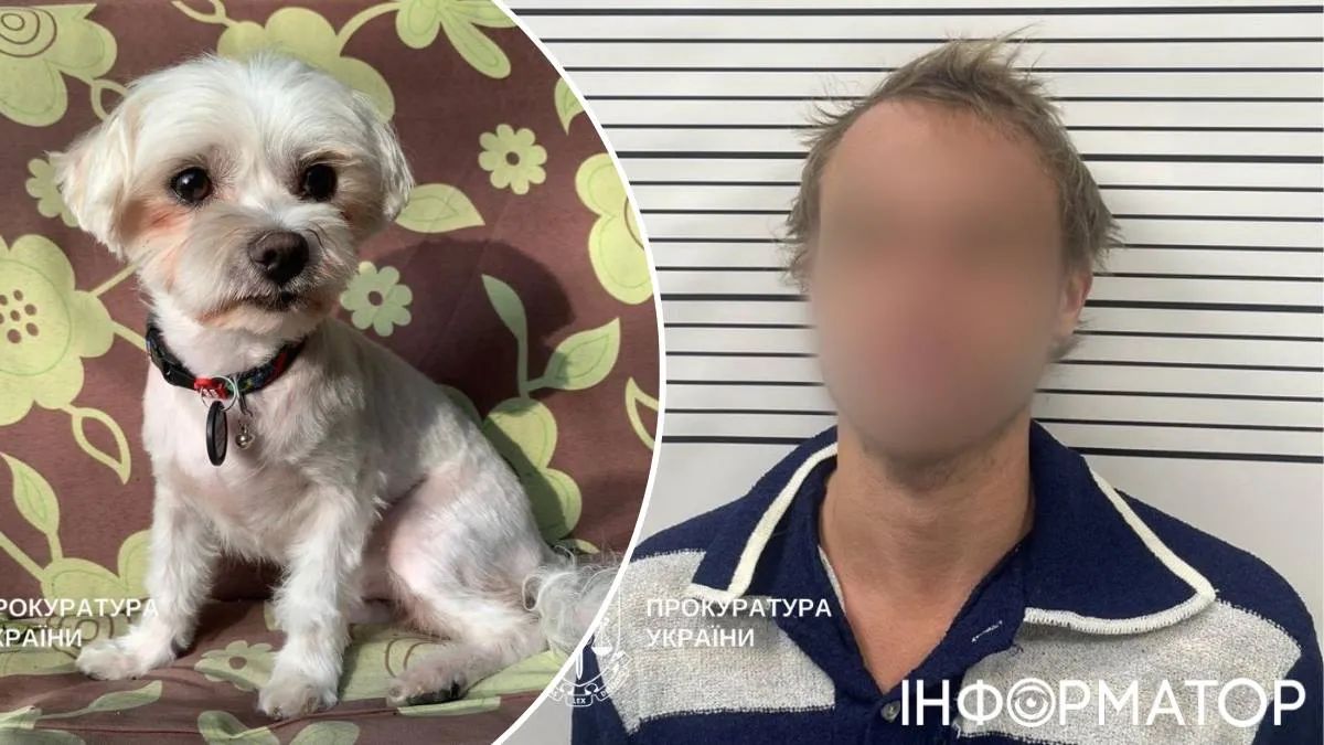 суд приговор собака