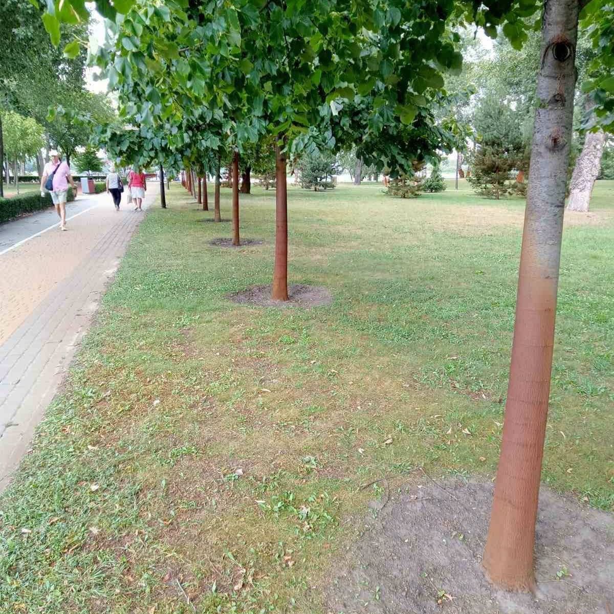 Последствия большого количества железа в воде Последствия большого количества железа в воде
