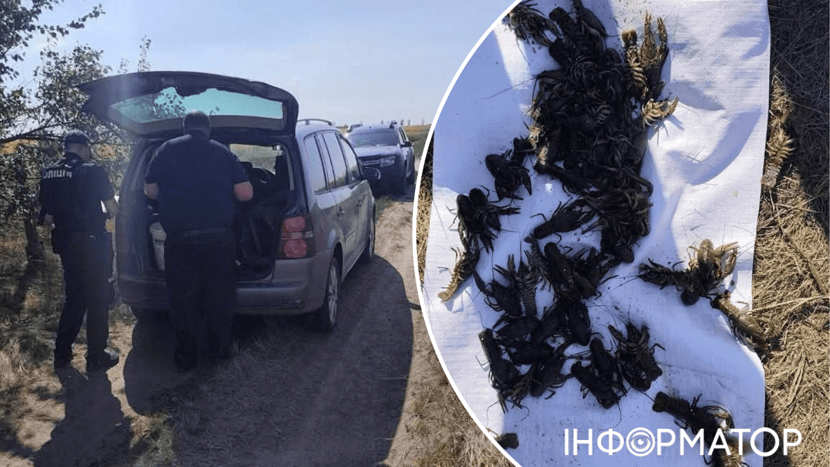 раколовки задержания Киевщина
