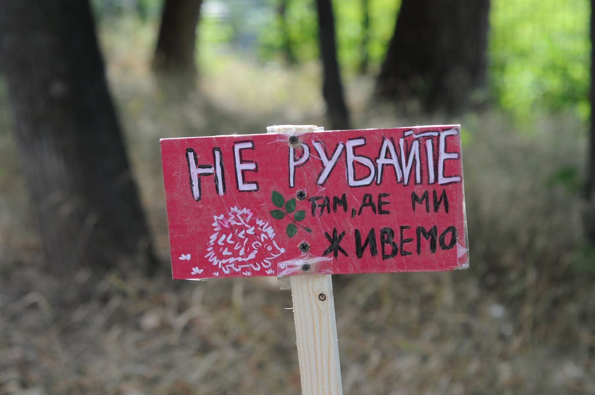 Таблички встановили у парку на Теремках Таблички