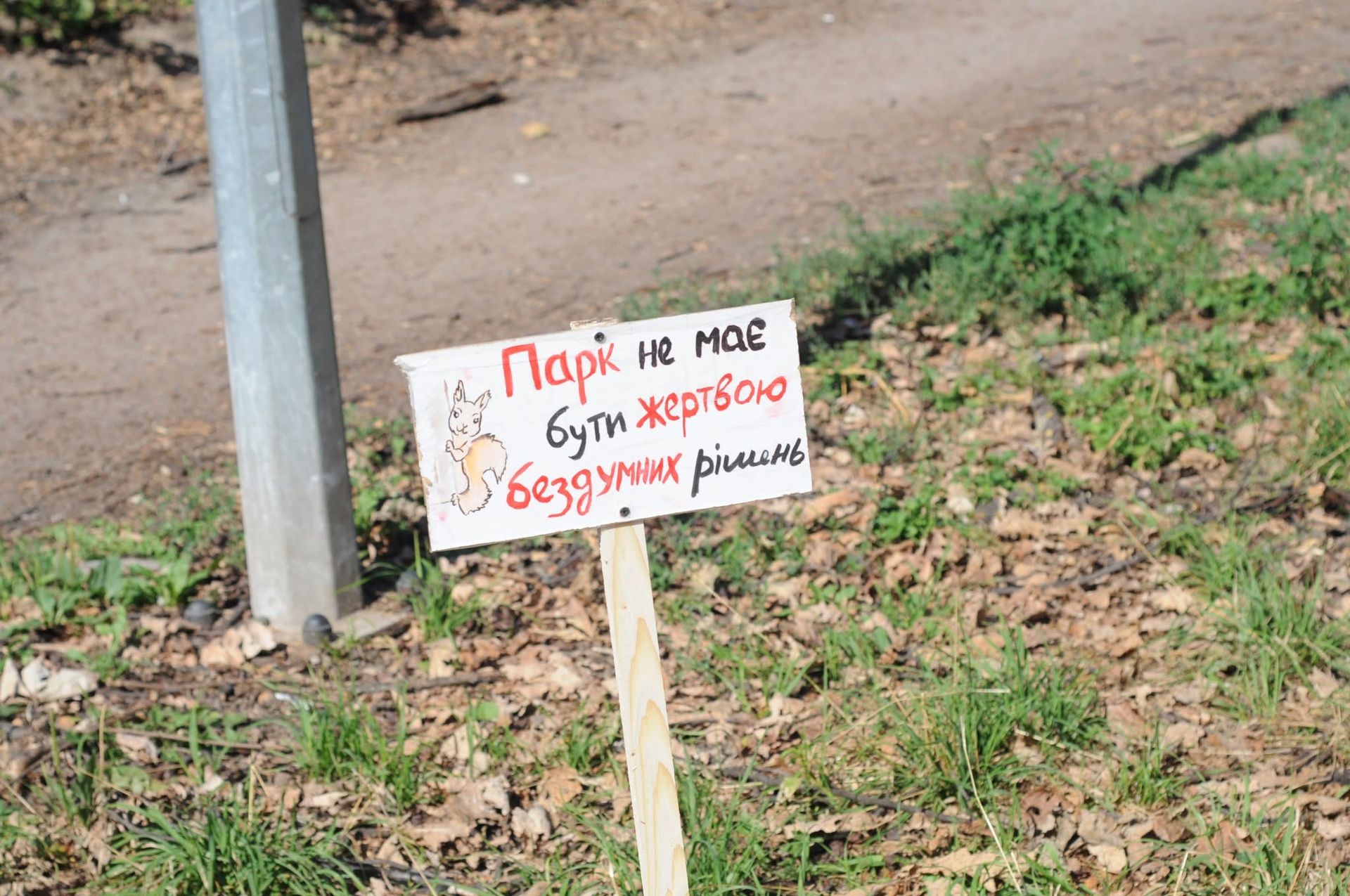 Мешканці закликають не знищувати паростки Дерева