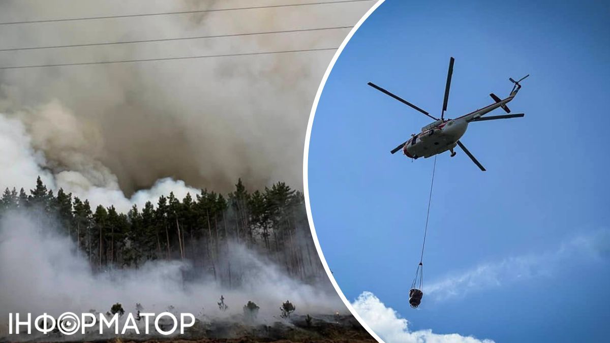 лісова пожежа Вишгород