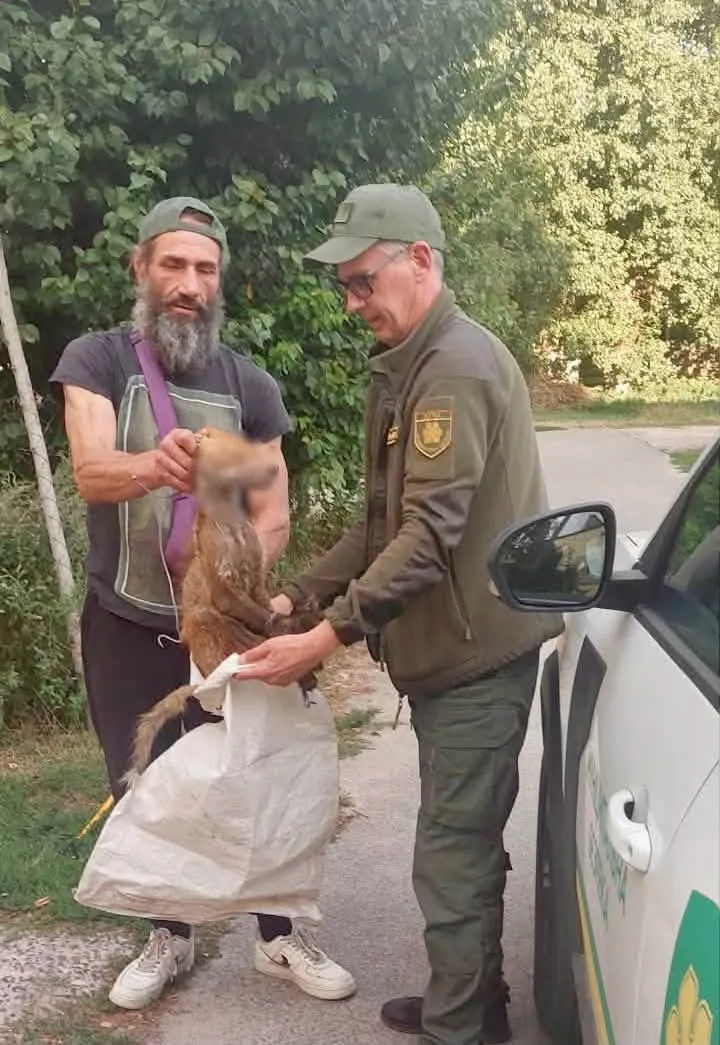 Фото: КП "Муніципальна безпека"