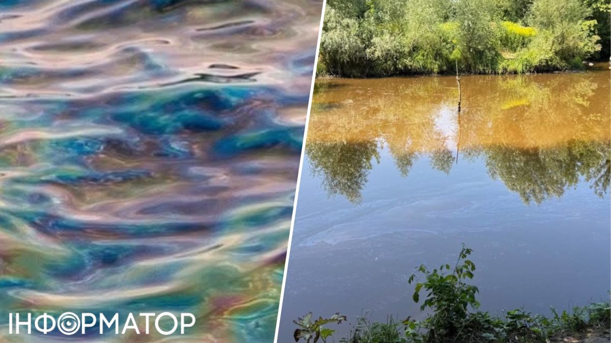 загрязненный водоем Киева