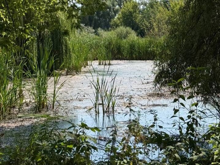Річка Борщагівка Річка Борщагівка
