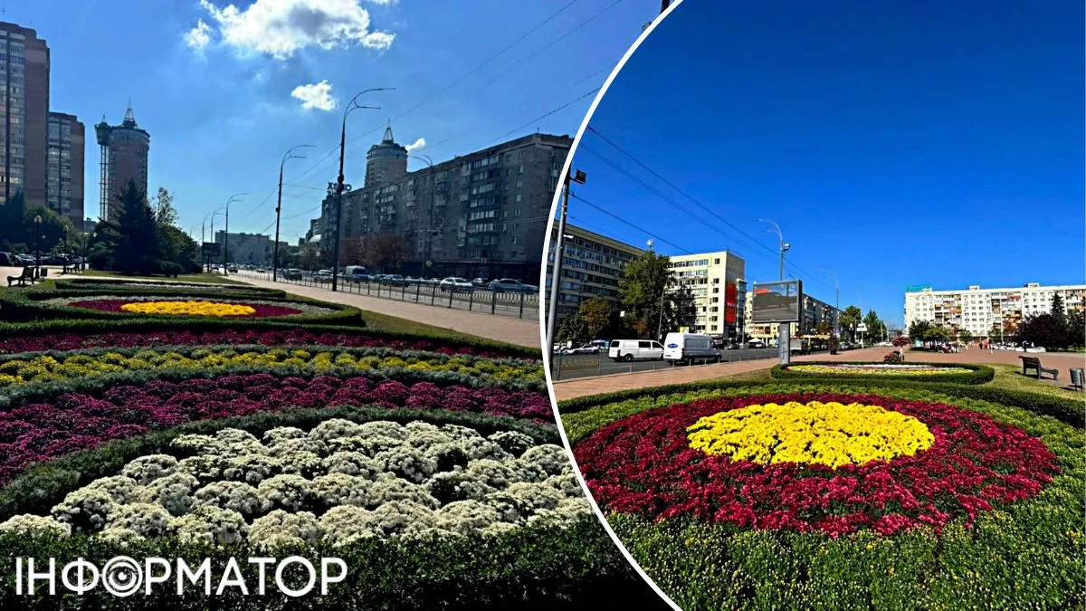 Осінній дух Києва - на площі Лесі Українки облаштували нові квітники