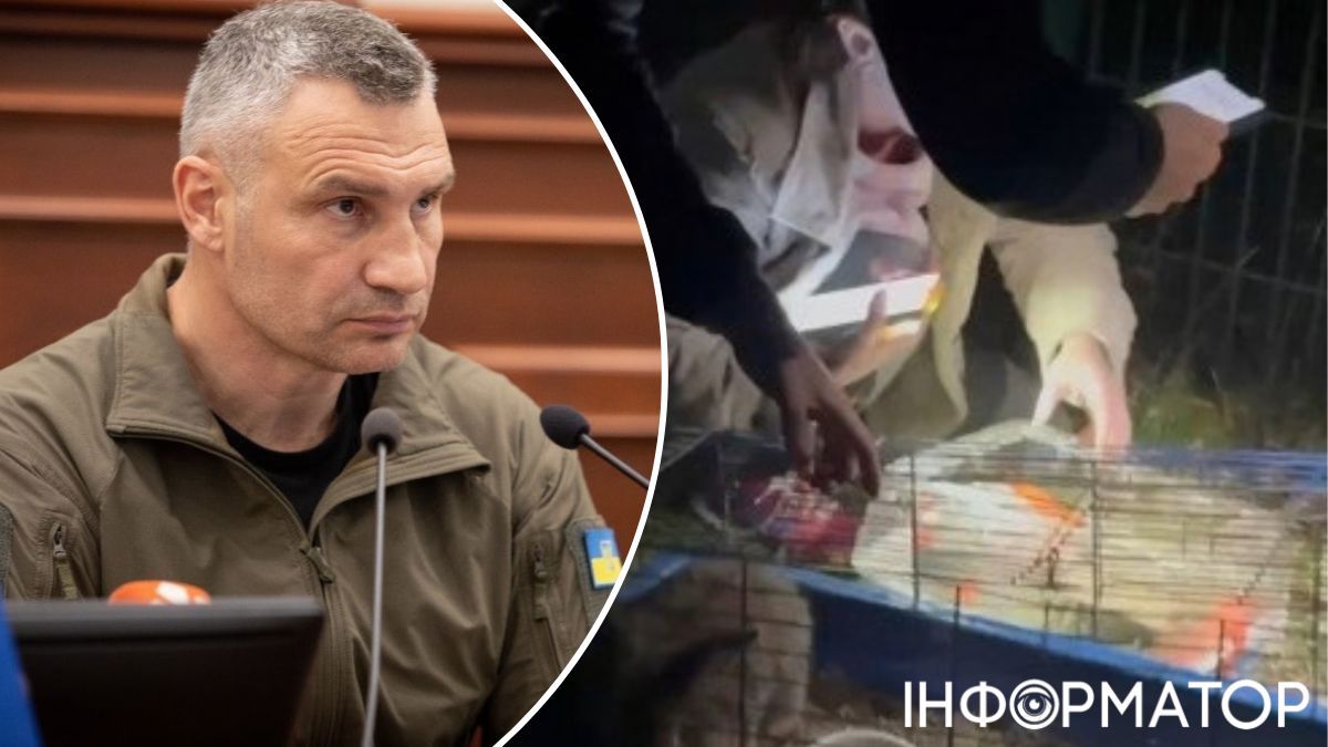 Тварини дитсадок Кличко