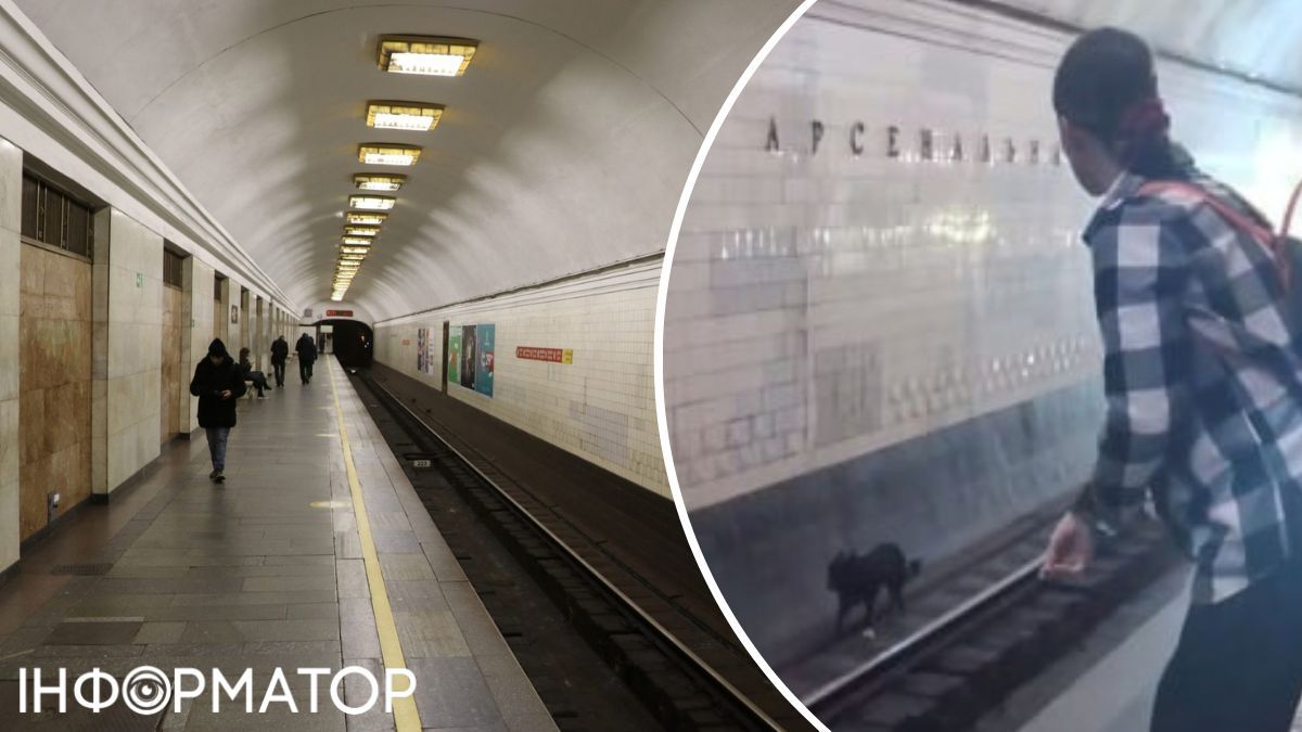 собака в метро