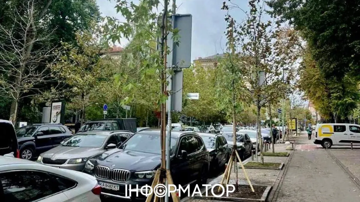 новые деревья Прорезная