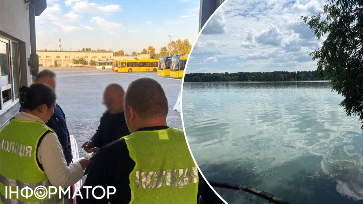 озеро Алмазне забруднення