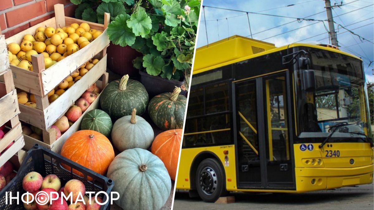 автобус на маршруте