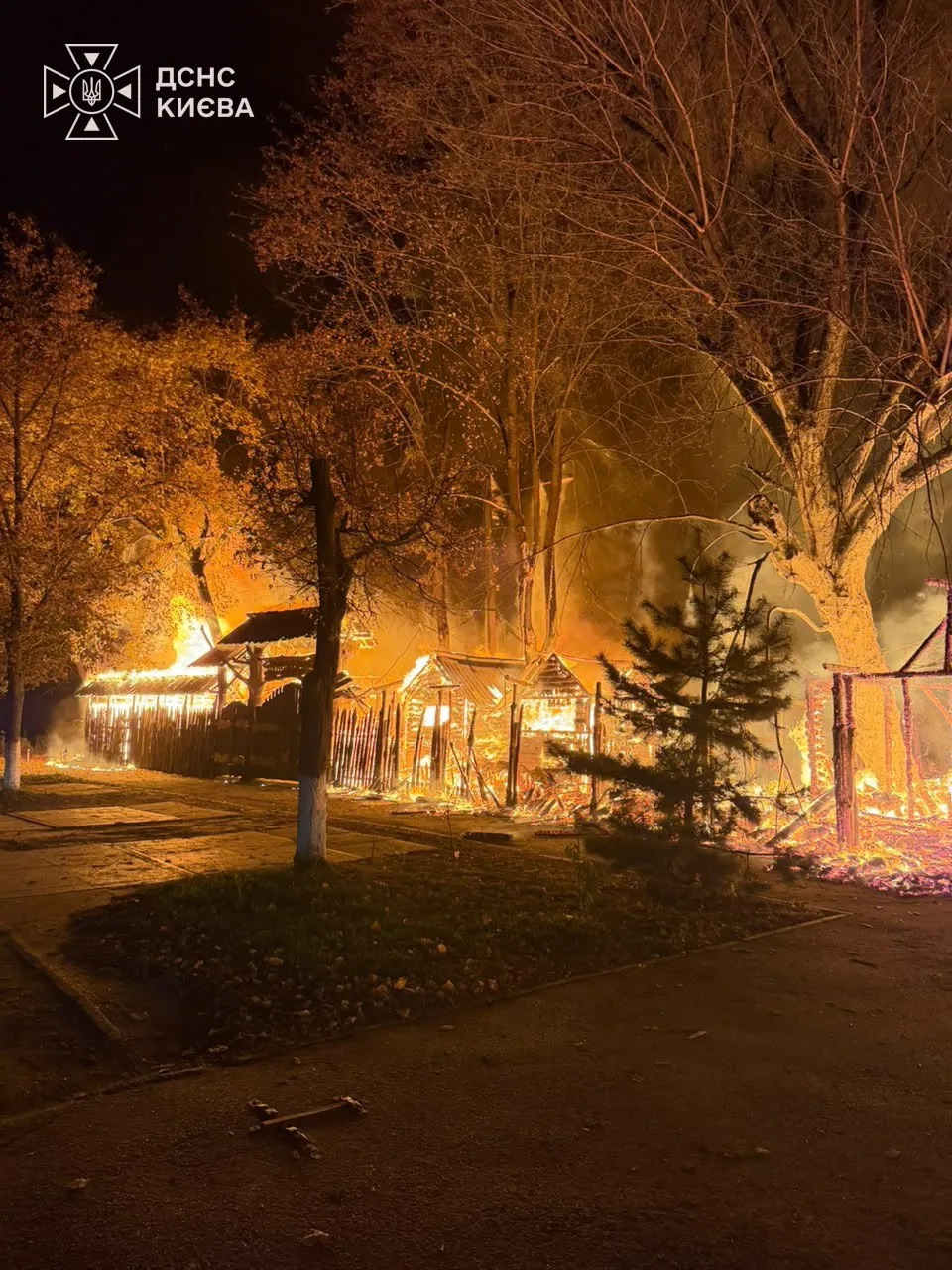 Фото: ДСНС