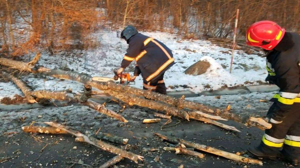 Повалені дерева та пошкоджені авто: на Коломийщині посилився вітер