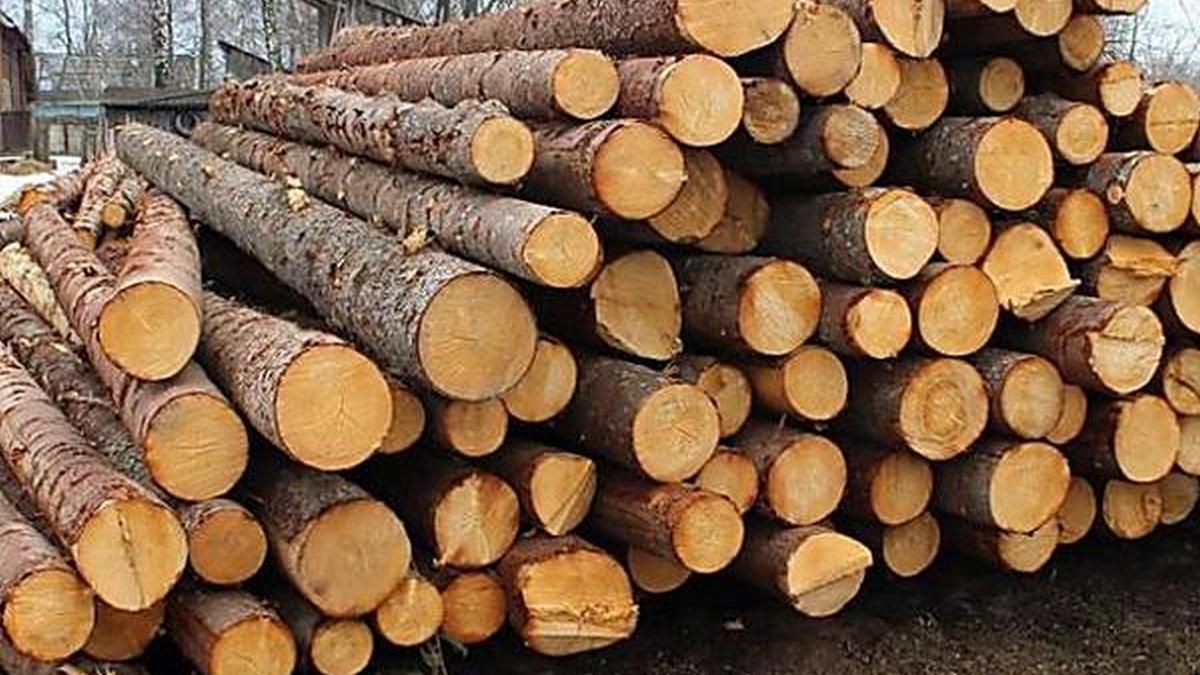 Мешканець Коломийщини перевозив незаконно зрубану деревину на 27 тисяч гривень