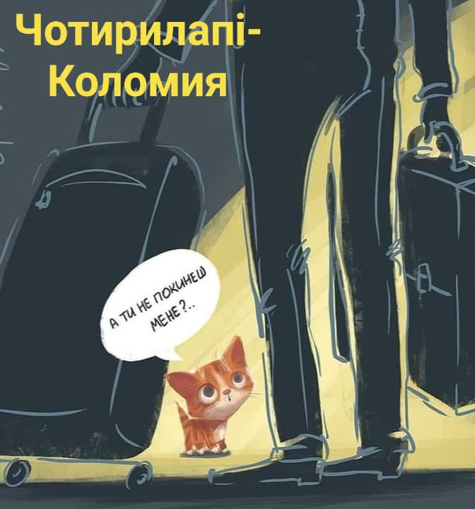 Коломиянам нагадують про братів наших менших 1