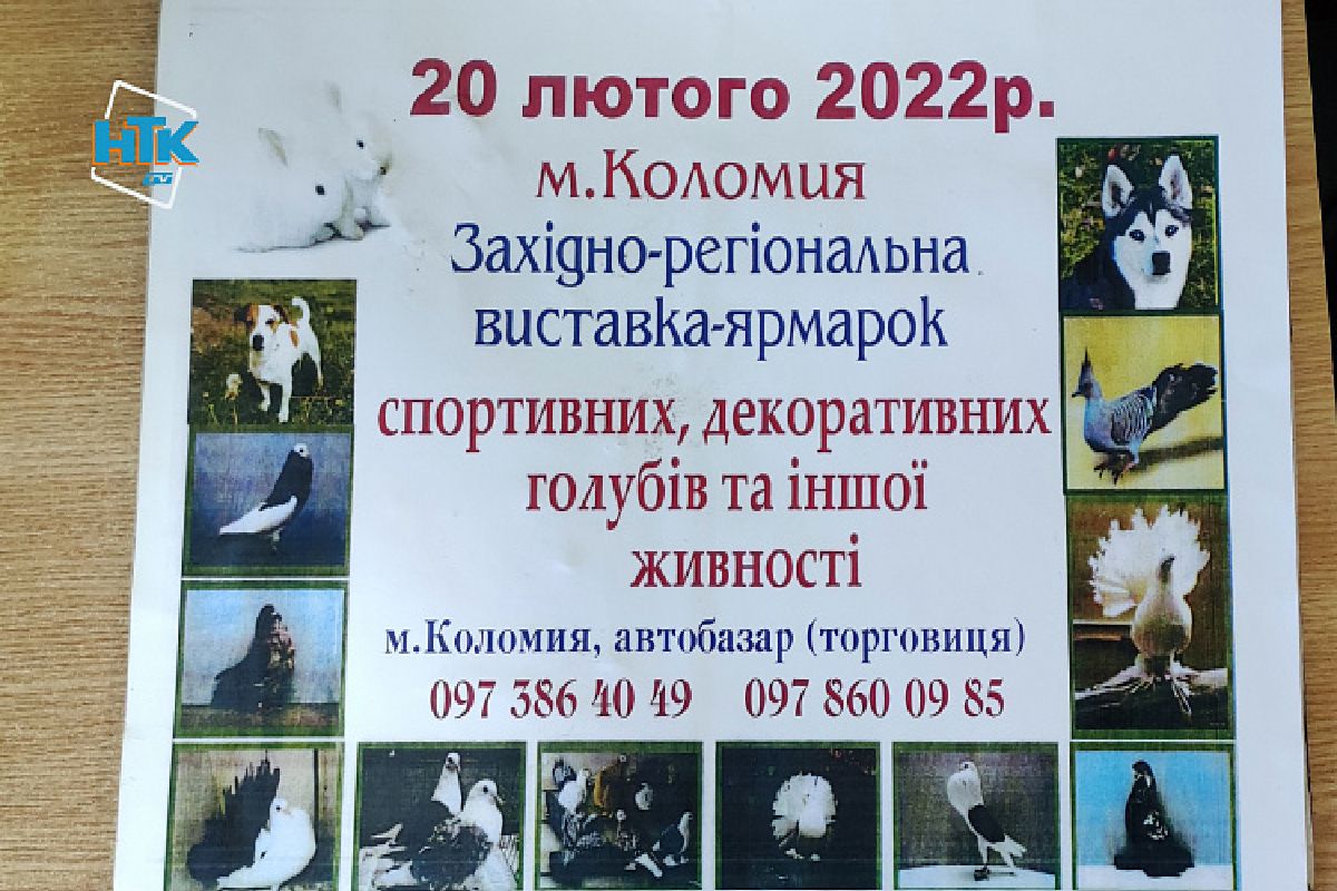 20 лютого: що відвідати в Коломиї 9