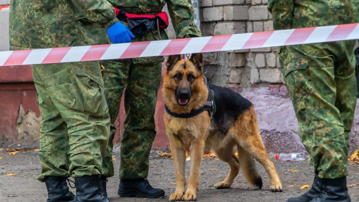 У Коломиї "замінували" торгівельний центр