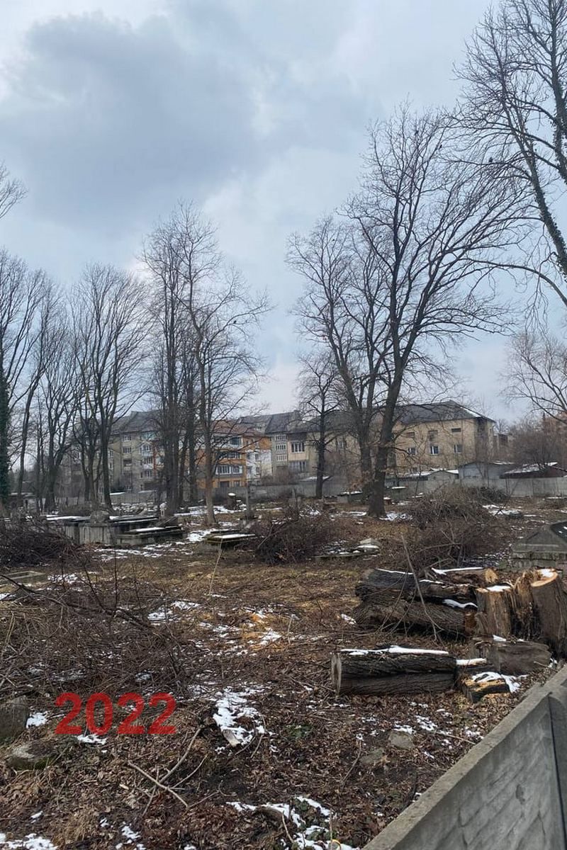 Зрізка дерев у Коломиї - це частина програми озеленення? 5